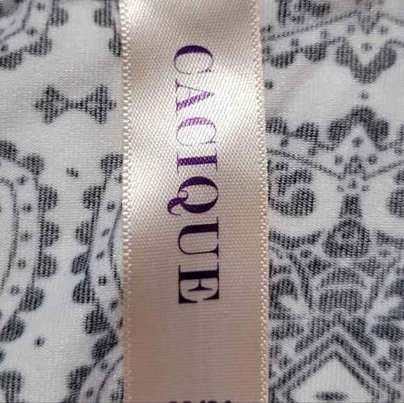 Cacique Lane Bryant Panties Plus Size Brand New Hipster Size 22/24 - Picture 3 of 4